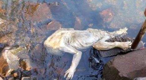 La extraña criatura que apareció muerta en Paraguay